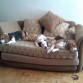 LAILA descansando después de ugar con MILU Y MILKA 